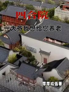四合院我是一大爷