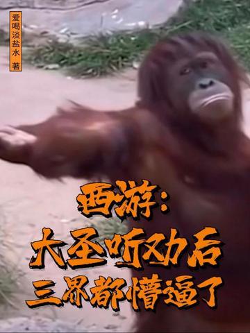 西游记的大圣歌