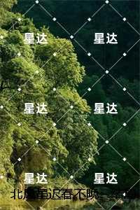 北风未眠简介