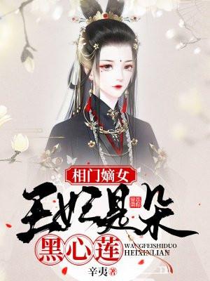 相府嫡女丑王妃穿越