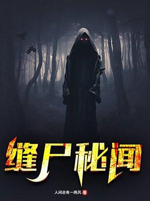 缝尸秘闻 人间总有一两风