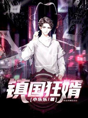 镇国狂婿叶凡