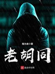 老胡同里的新发现作文