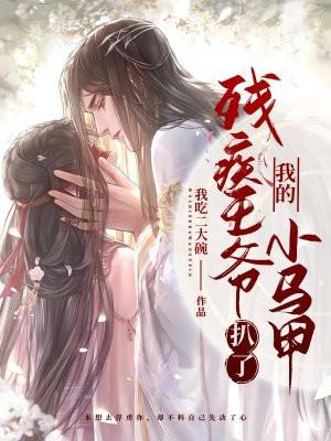 残疾王爷的小毒妃超凶超飒