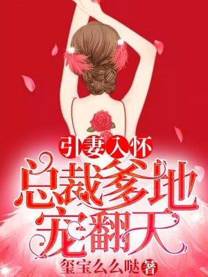 引妻入怀腹黑总裁花式宠