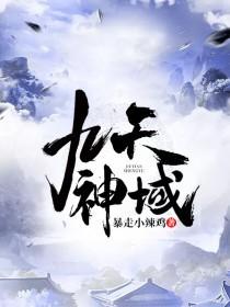 九天神域灵落凡尘免费阅读