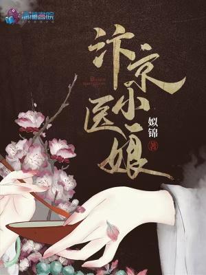 姒锦汴京小医娘