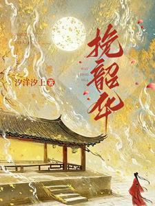 挽韶华是什么意思