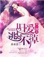 第一婚宠总裁前夫很难缠