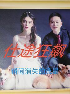仕途狂飙沈清晏周墨