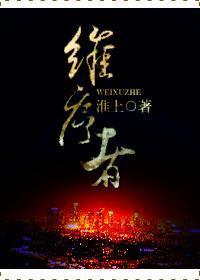 维序者沉船湾线索
