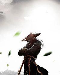 全职驱魔师 岚听风