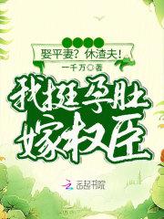顾西城宋浅