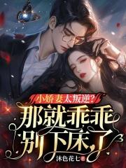 许晚晴容离
