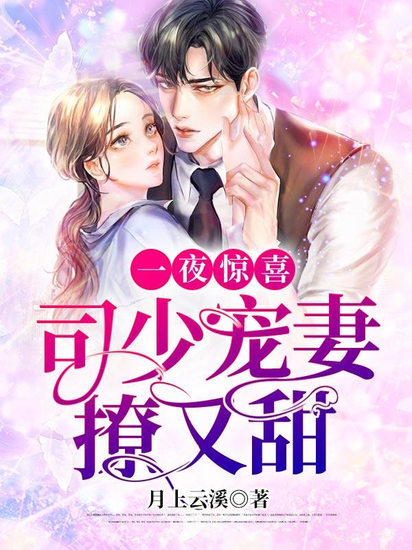 一夜闪婚顾少的天价私宠