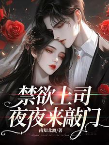 禁欲上司夜夜来敲门 南知北渡