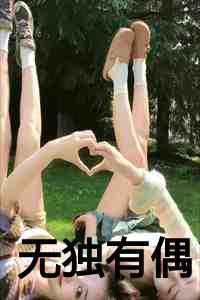 无独有偶的偶是什么意思