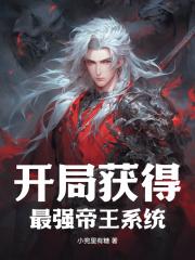 主角叶天星的