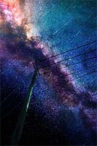 谋生的路上不抛弃良知