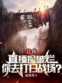 你去打扫战场?全本TXT