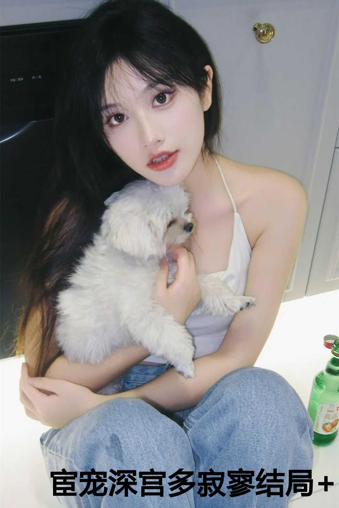 宦宠完结了吗