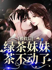慕容泽沈鸾免费阅读