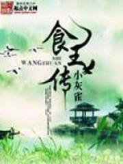食王传奇电视连续剧
