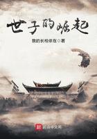 世子的崛起 笔趣阁