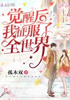 觉醒后我征服了全世界 孤木双