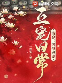 清穿四爷宠文