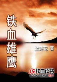 铁血雄鹰电影