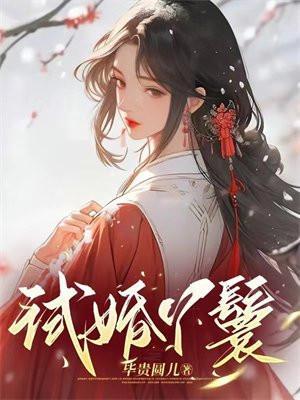 试婚丫鬟好看吗