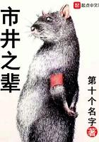 市井之辈的意思