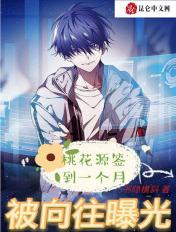 桃花源10亿