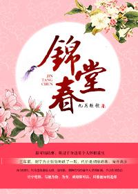锦堂春讲的什么