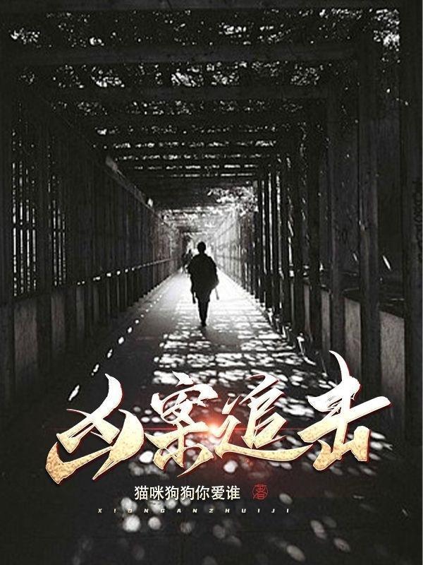 凶案追击美国电影免费观看