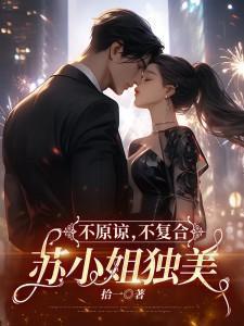 不原谅不复合苏小姐独美笔趣阁