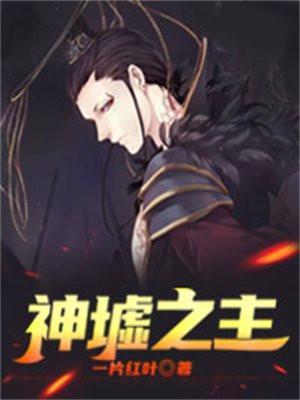 神墟之主夏之岚结局