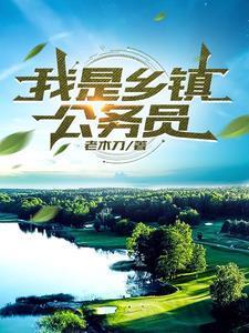 我是乡镇公务员TXT目录