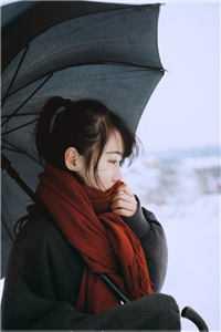孤山看雪