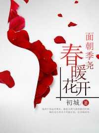 面朝季尧春暖花开免费阅读全文
