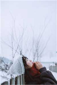 美强惨意思