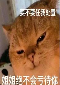 哨兵向导