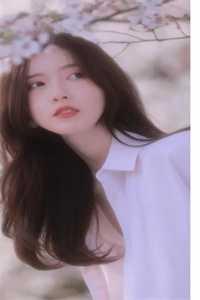 怪物猎人龙介绍