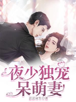 夜少宠妻狂魔