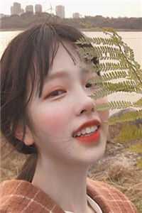 禹皇九鼎图片