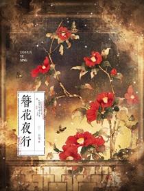 簪花夜行gI免费