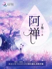 阿禅丁墨txt