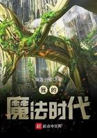 我的魔法时代果果