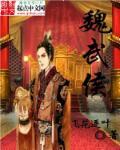 魏武侯叫什么名字